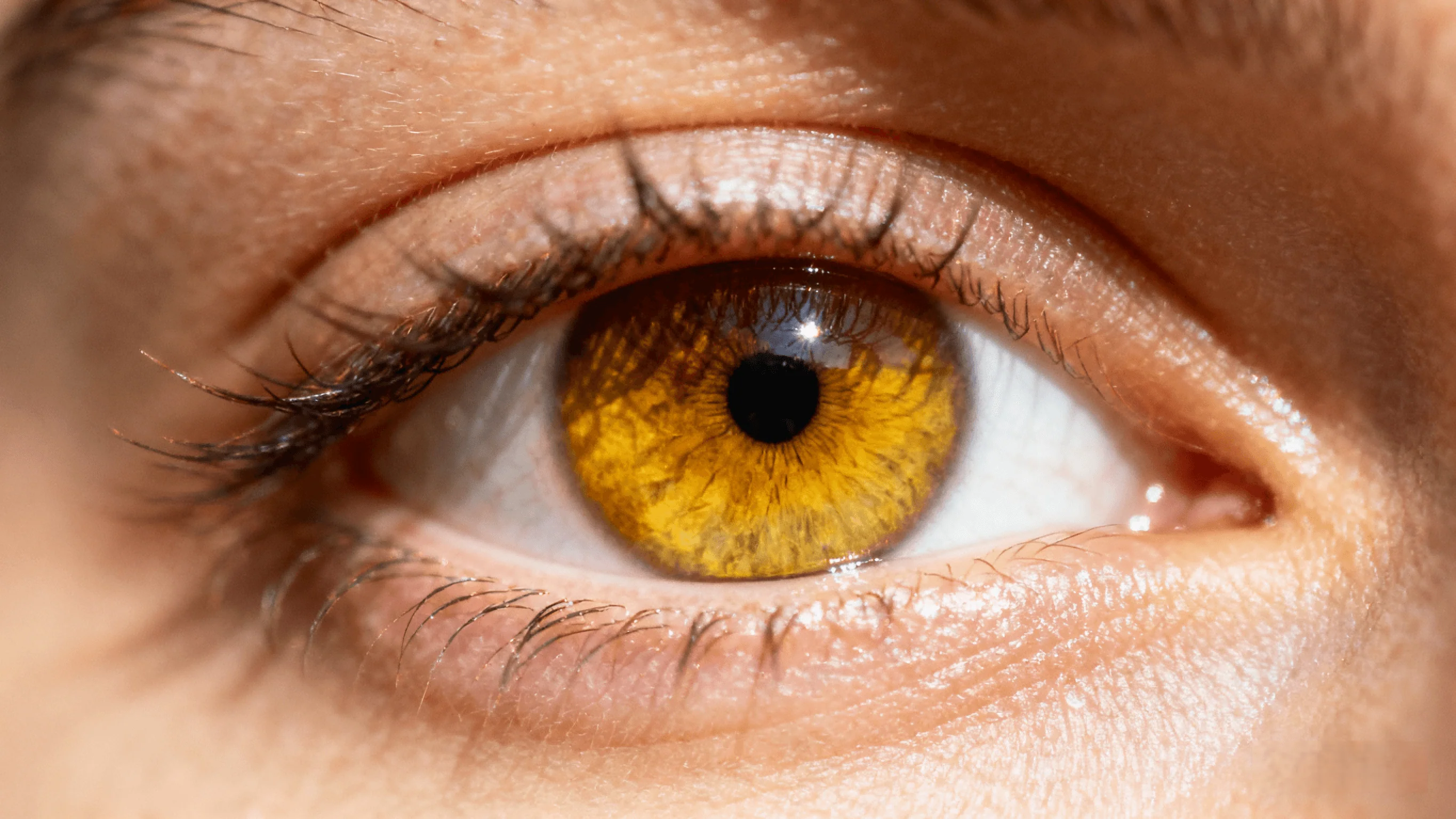amber eyes